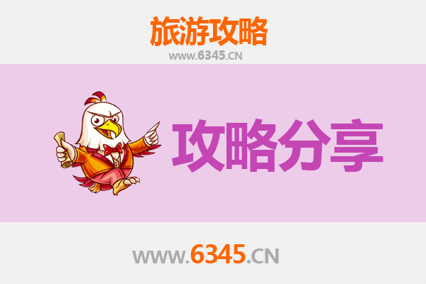 株洲天元旅游攻略：跟团与自由行全方位解析